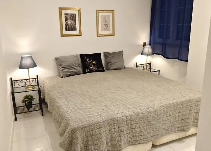 Citycenter Locosbeach 50m Exclusive * Torrevieja