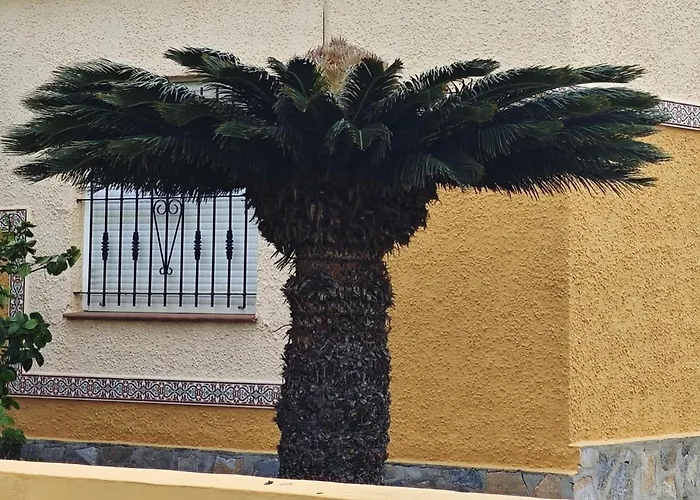 Apartment Citycenter Locosbeach 50m Exclusive Torrevieja